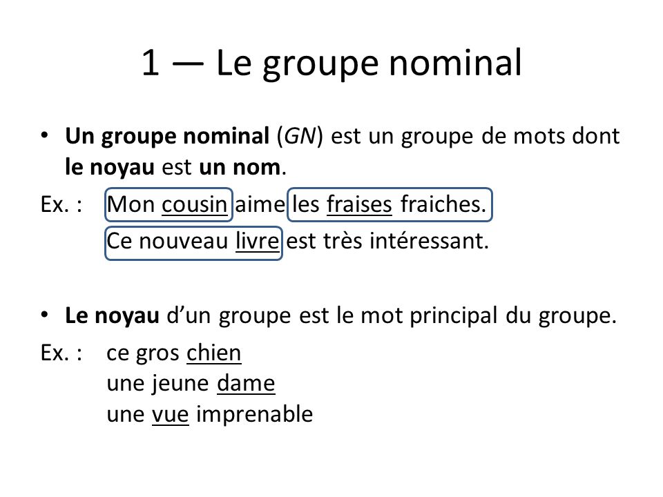 1 — Le groupe nominal Un groupe nominal (GN) est un groupe de mots dont le noyau est un nom. Ex. : Mon cousin aime les fraises fraiches.
