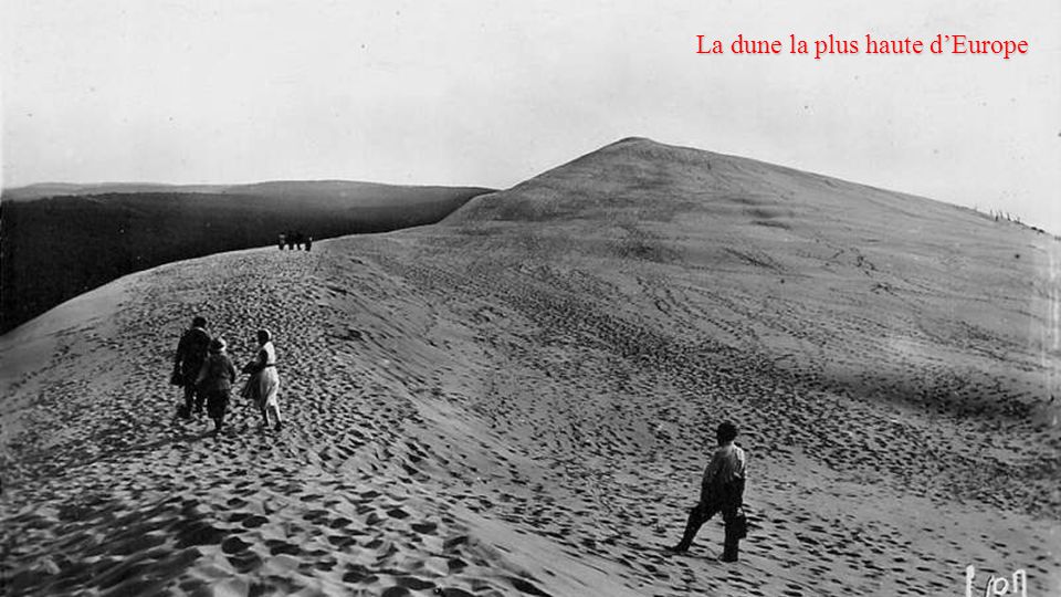 La dune la plus haute d’Europe