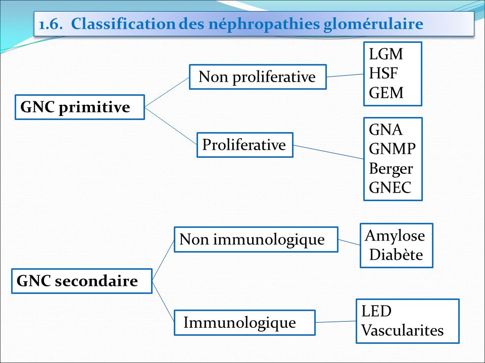 1.6. Classification des néphropathies glomérulaire