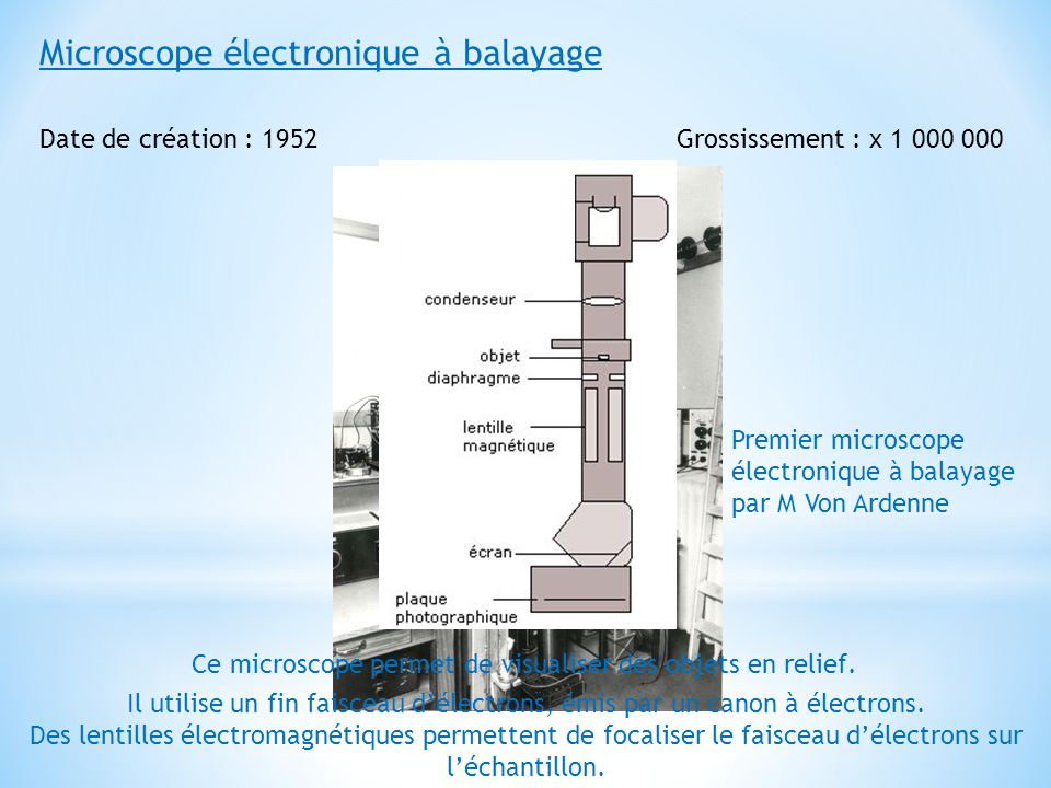 Diaporama : des images de microscopie électronique à couper le souffle