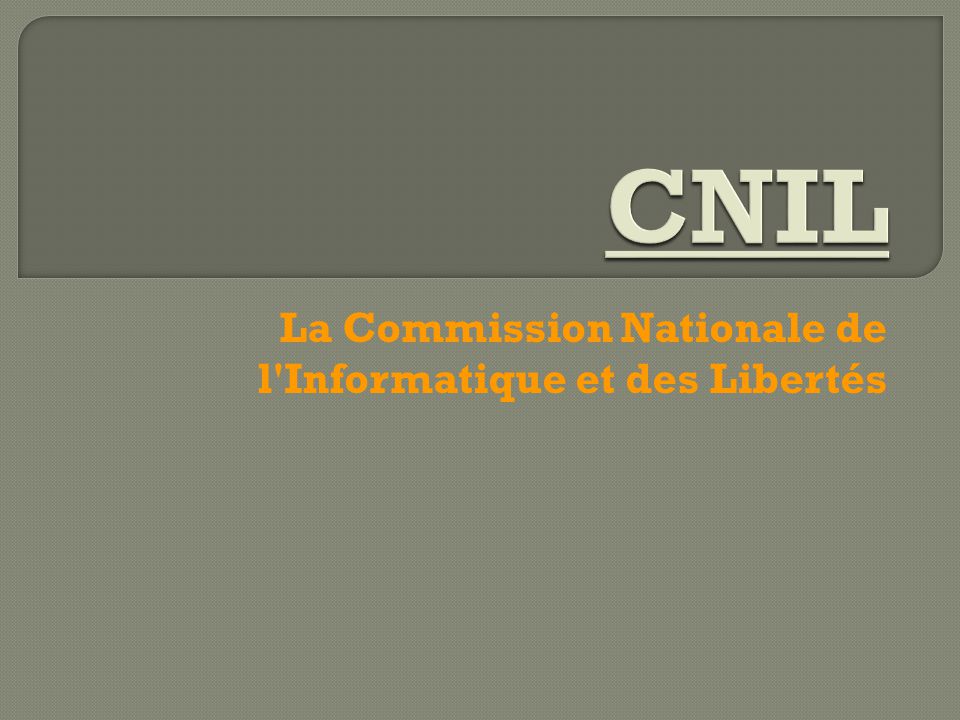 La Commission Nationale de l Informatique et des Libertés