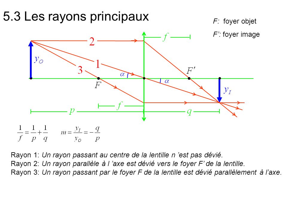5.3+Les+rayons+principaux+F:+foyer+objet+F%E2%80%99:+foyer+image.jpg