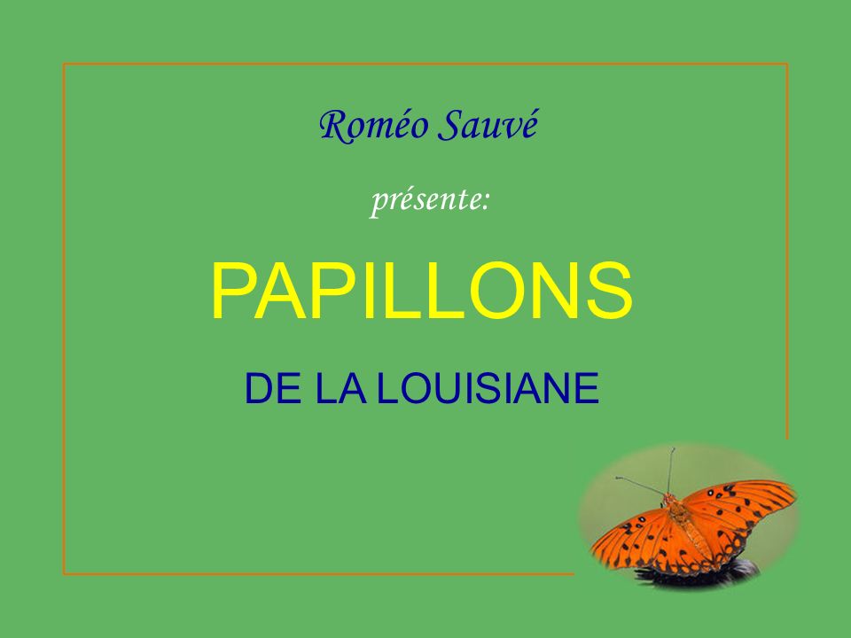 Roméo Sauvé présente: PAPILLONS DE LA LOUISIANE