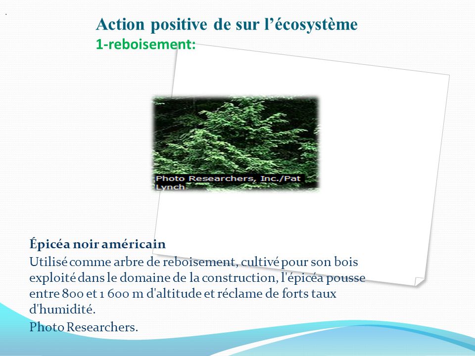 Action positive de sur l’écosystème 1-reboisement: