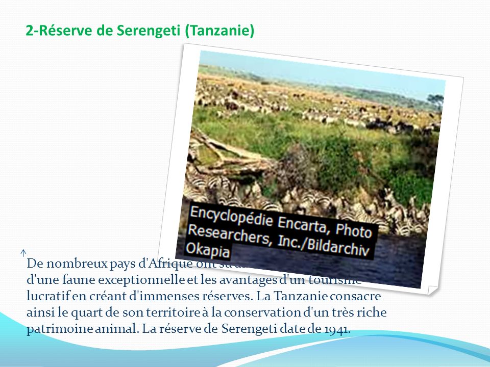2-Réserve de Serengeti (Tanzanie)