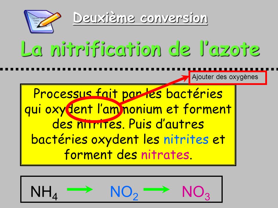 La nitrification de l’azote