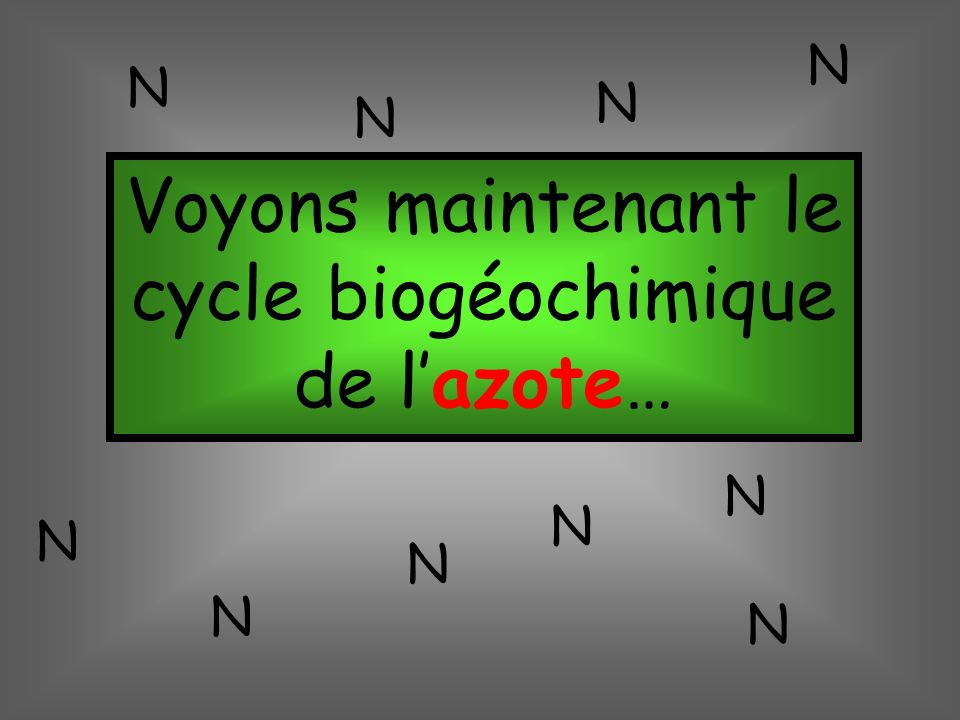 Voyons maintenant le cycle biogéochimique de l’azote…