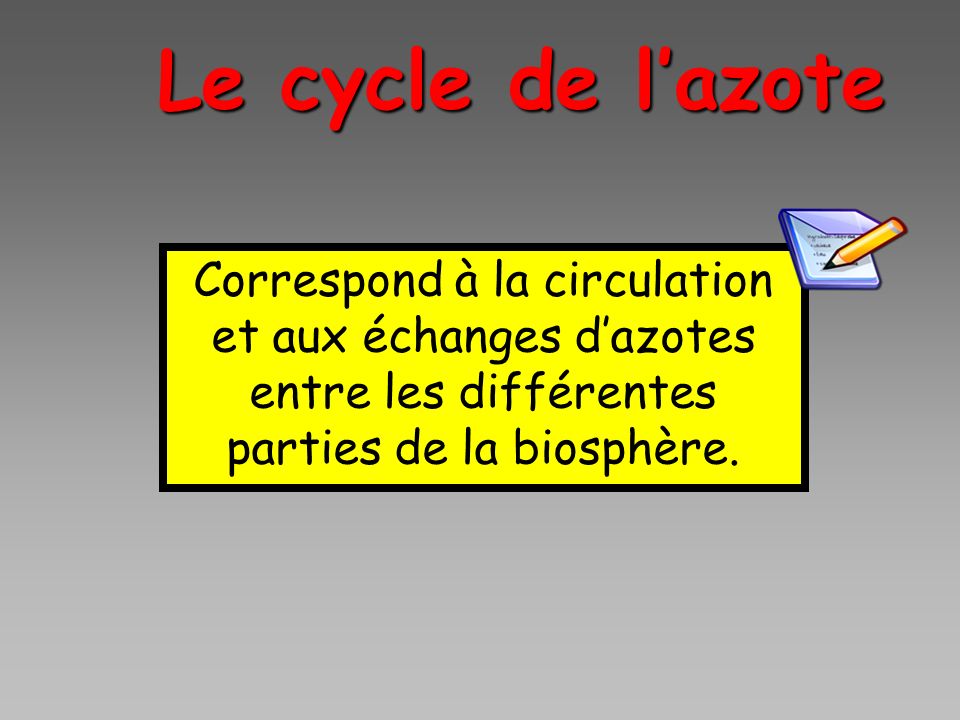 Le cycle de l’azote Correspond à la circulation et aux échanges d’azotes entre les différentes parties de la biosphère.