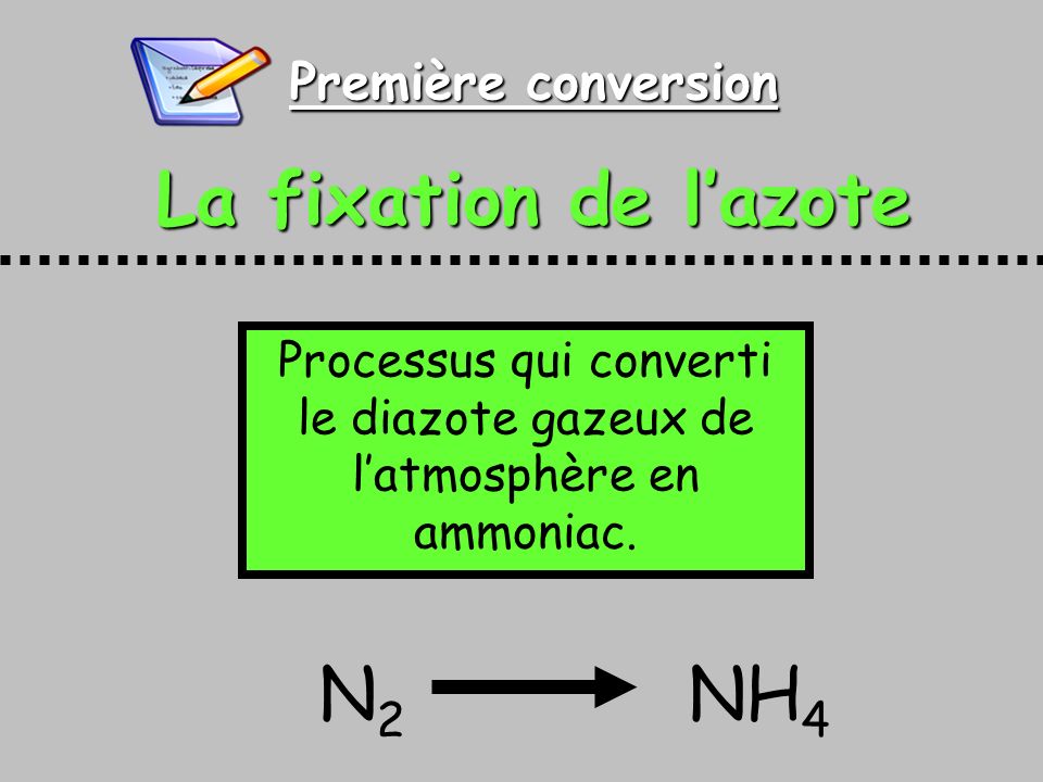 Processus qui converti le diazote gazeux de l’atmosphère en ammoniac.