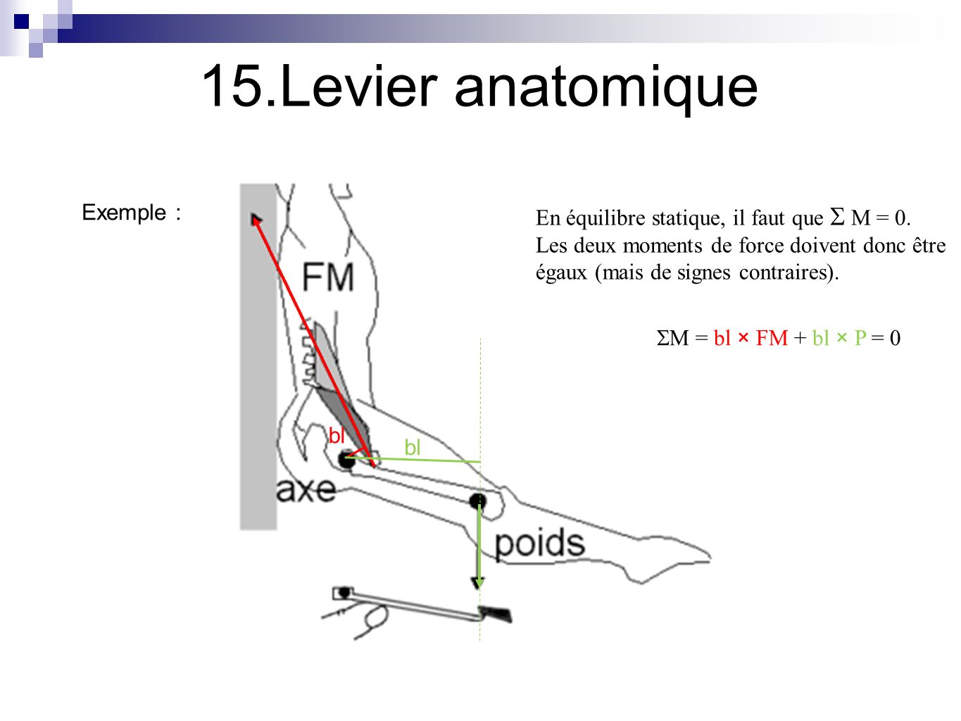 D Couvrir Imagen Formule Du Bras De Levier Fr Thptnganamst Edu Vn