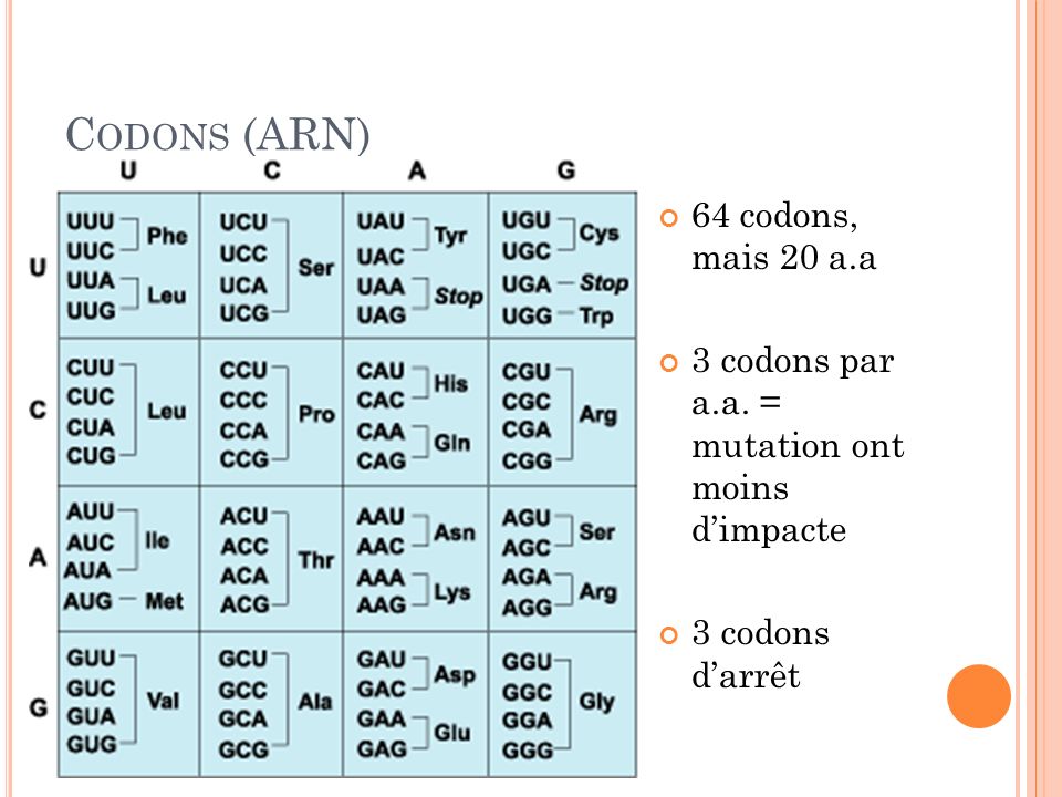 Codons (ARN) 64 codons, mais 20 a.a