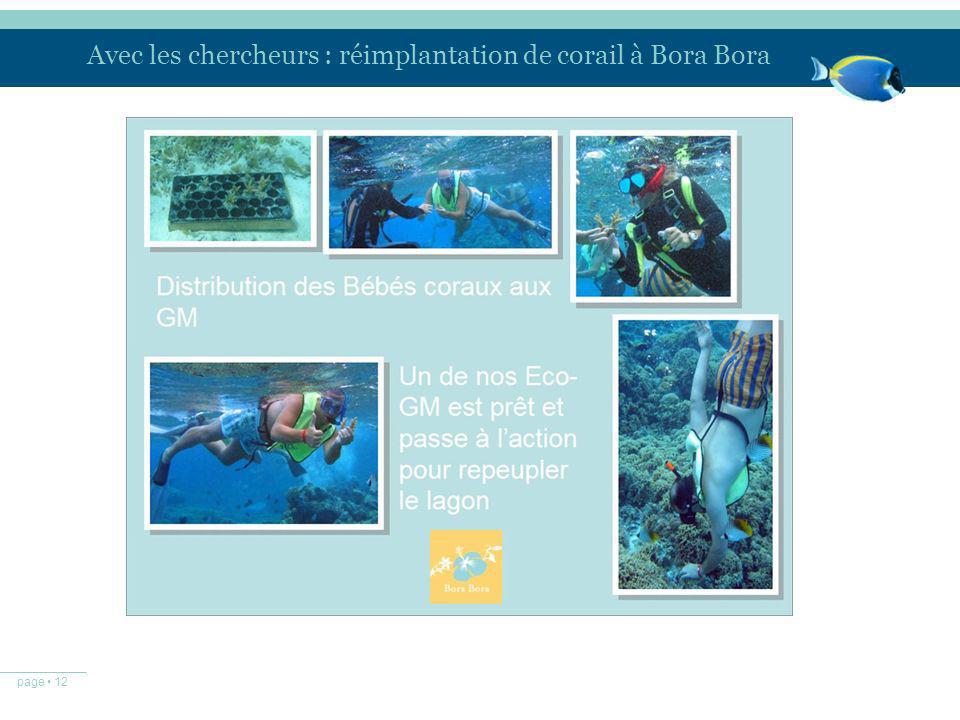 Avec les chercheurs : réimplantation de corail à Bora Bora