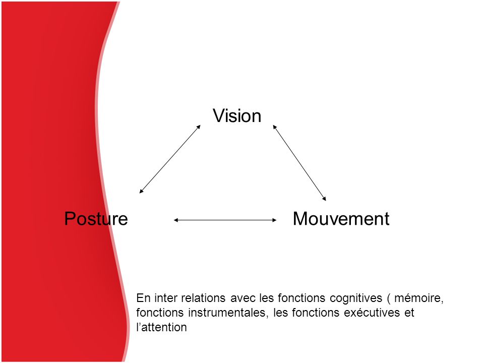 Vision Posture Mouvement