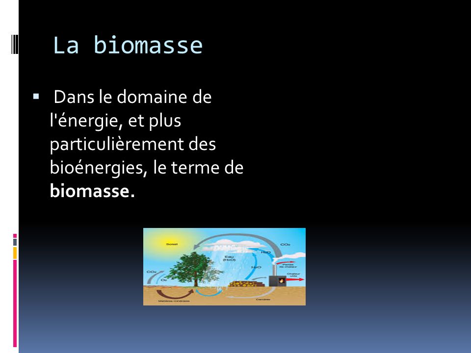 La biomasse Dans le domaine de l énergie, et plus particulièrement des bioénergies, le terme de biomasse.