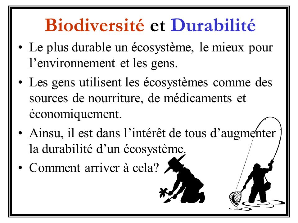 Biodiversité et Durabilité