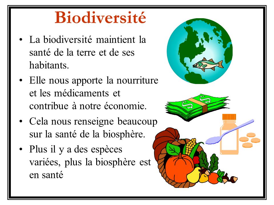 Biodiversité La biodiversité maintient la santé de la terre et de ses habitants.