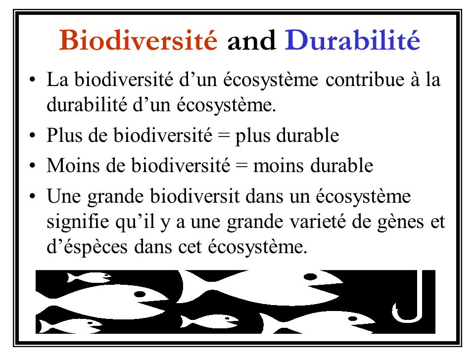 Biodiversité and Durabilité
