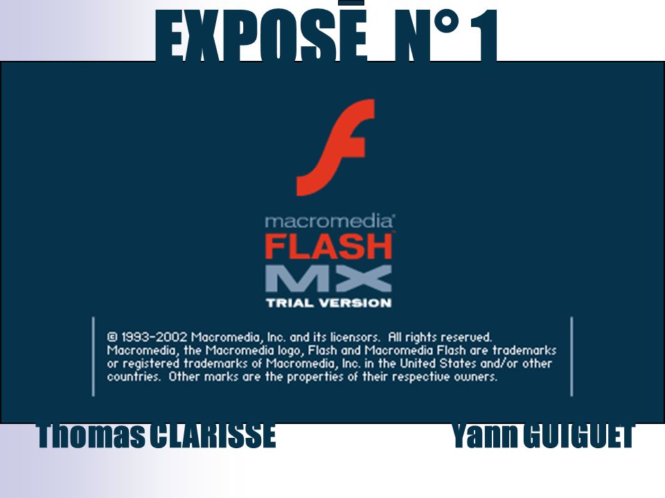 Macro Media Flash Player 8