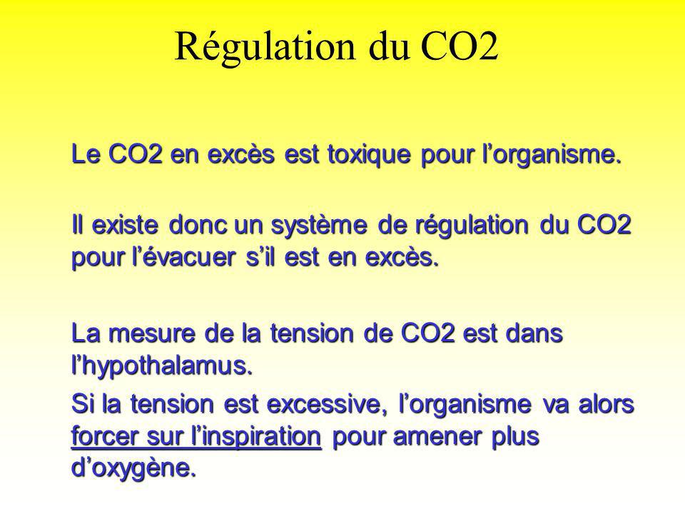Régulation du CO2 Le CO2 en excès est toxique pour l’organisme.
