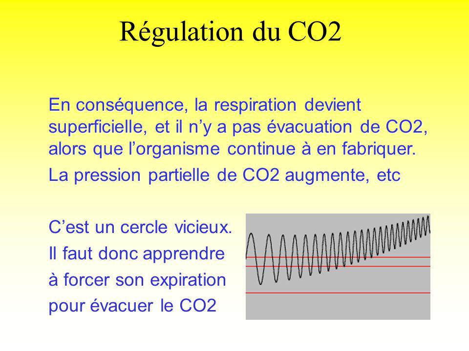 Régulation du CO2