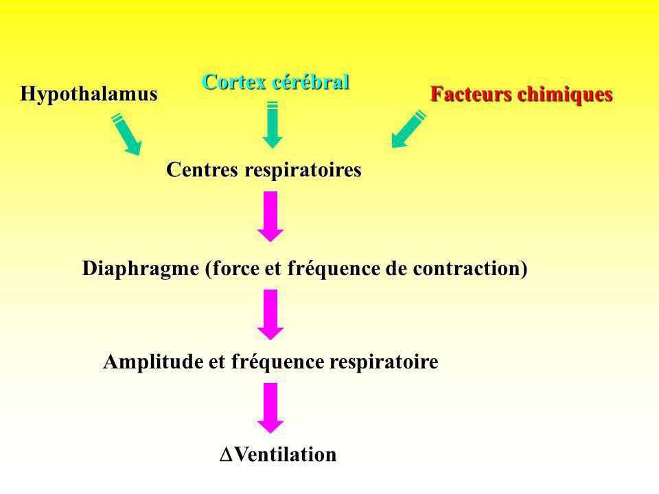 Cortex cérébral Hypothalamus. Facteurs chimiques. Centres respiratoires. Diaphragme (force et fréquence de contraction)