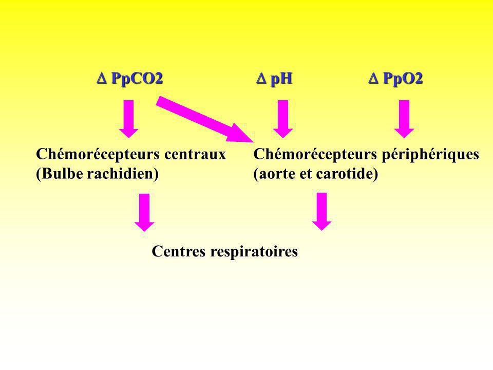 PpCO2  pH.  PpO2. Chémorécepteurs centraux. (Bulbe rachidien) Chémorécepteurs périphériques.