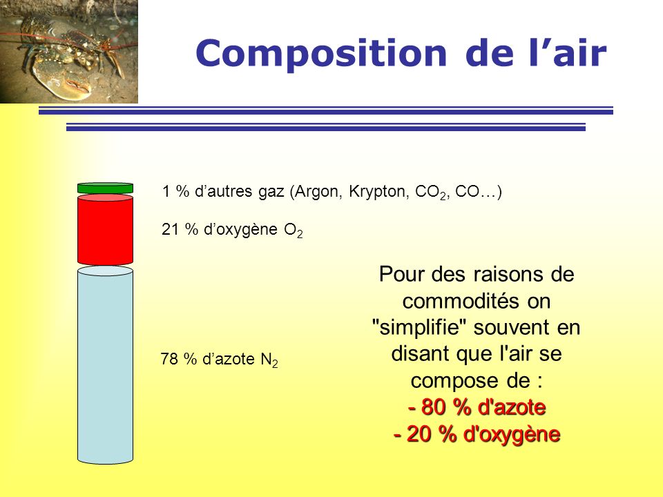 Composition de l’air 1 % d’autres gaz (Argon, Krypton, CO2, CO…) 21 % d’oxygène O2.