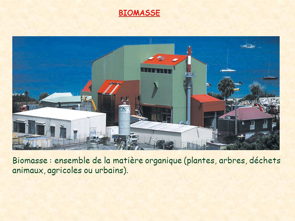 BIOMASSE Biomasse : ensemble de la matière organique (plantes, arbres, déchets animaux, agricoles ou urbains).