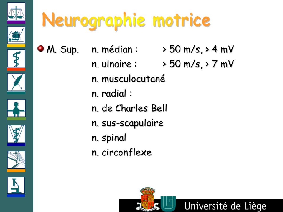 Neurographie motrice