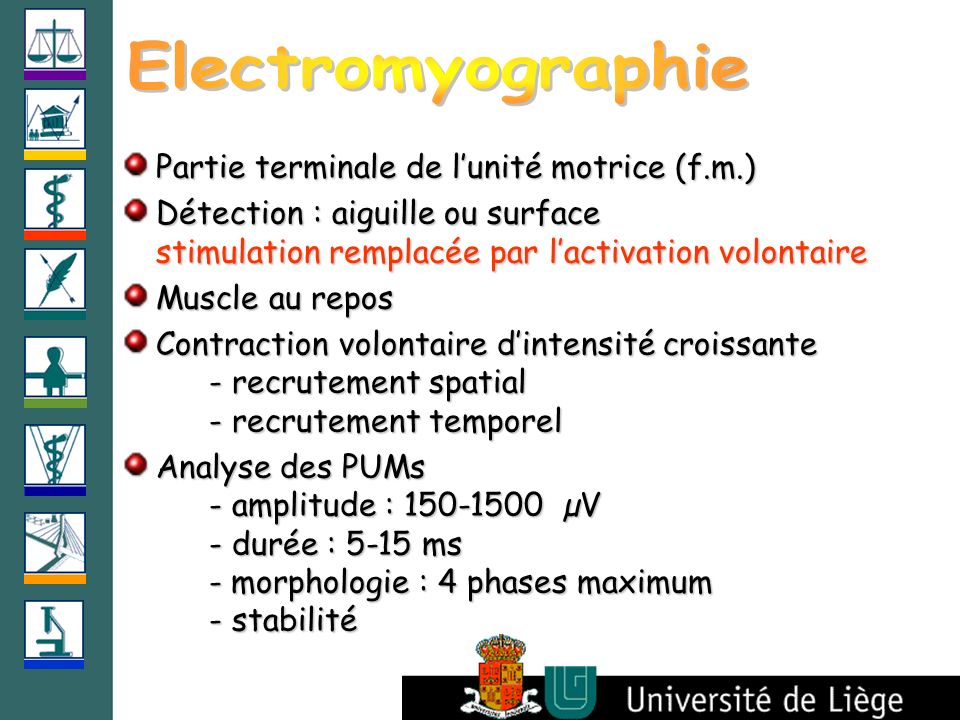 Electromyographie Partie terminale de l’unité motrice (f.m.)