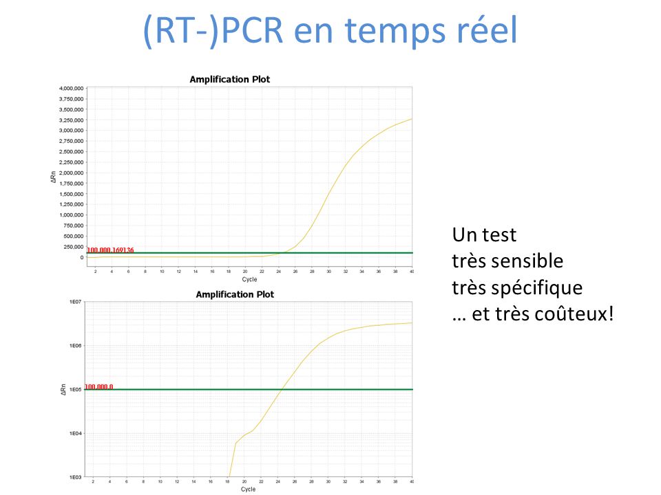 (RT-)PCR en temps réel Un test très sensible très spécifique