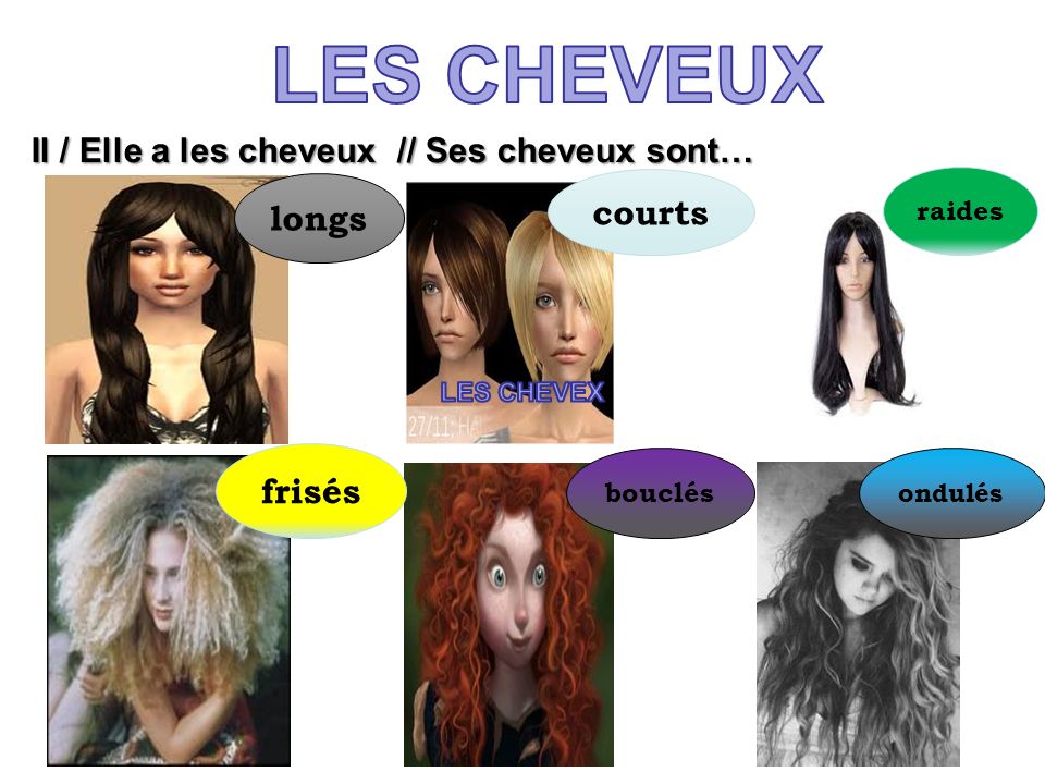 LES CHEVEUX Il / Elle a les cheveux // Ses cheveux sont… courts longs