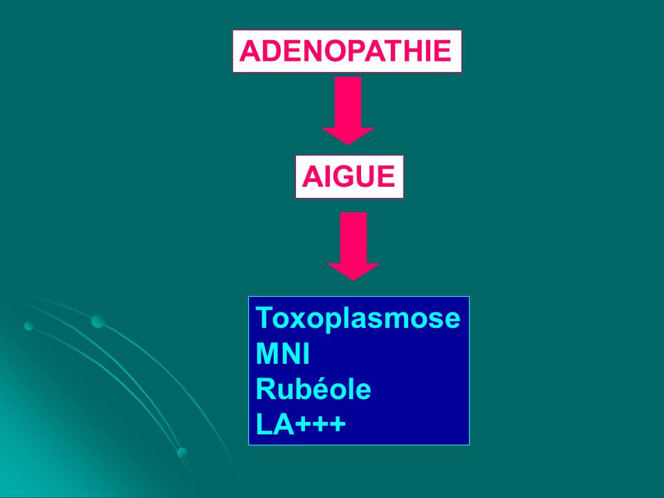 ADENOPATHIE AIGUE Toxoplasmose MNI Rubéole LA+++