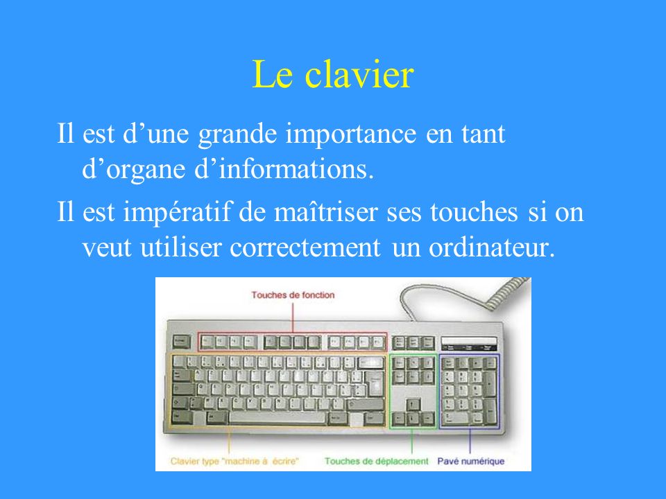Le clavier Il est d’une grande importance en tant d’organe d’informations.