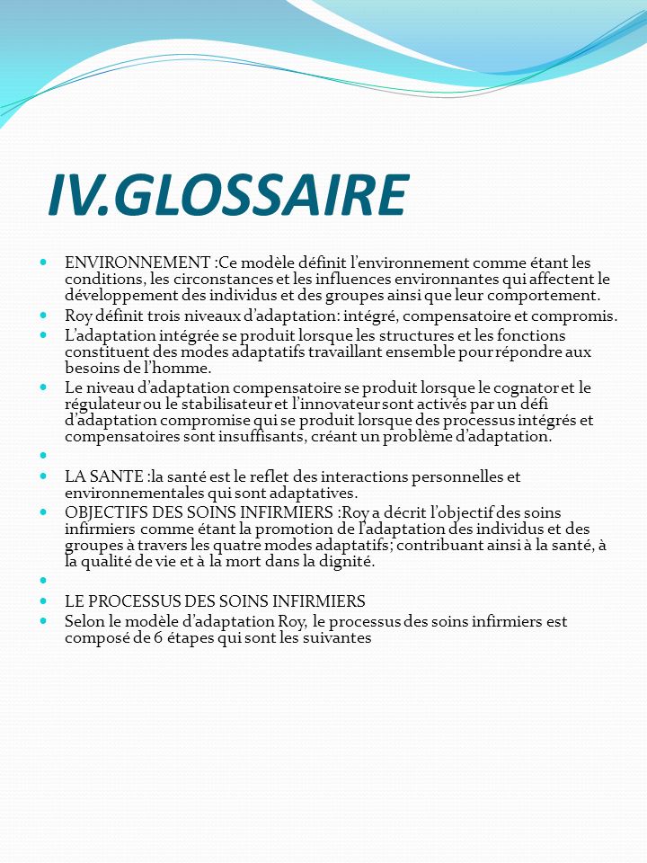 IV.GLOSSAIRE