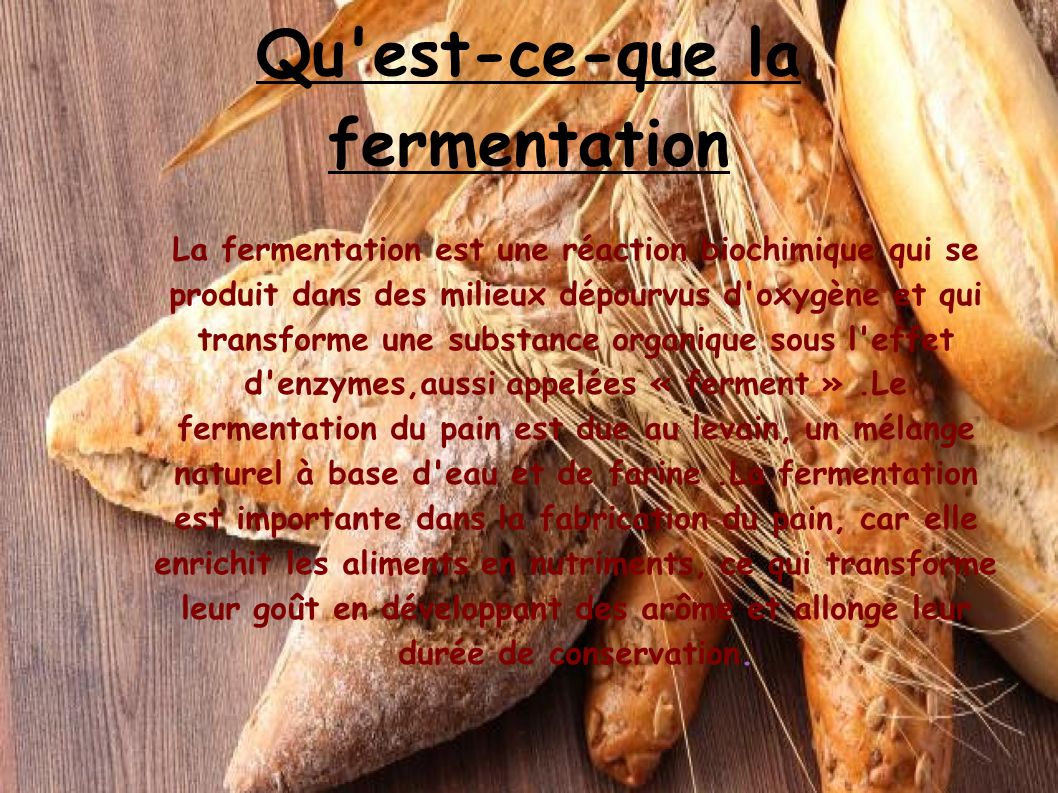 Qu'est-ce que la fermentation ?